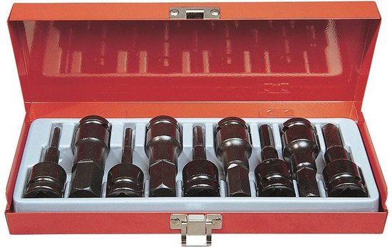 Rodac RA8674 9-delige Krachtdoppenset - Inbus - 4-19mm - 1/2"