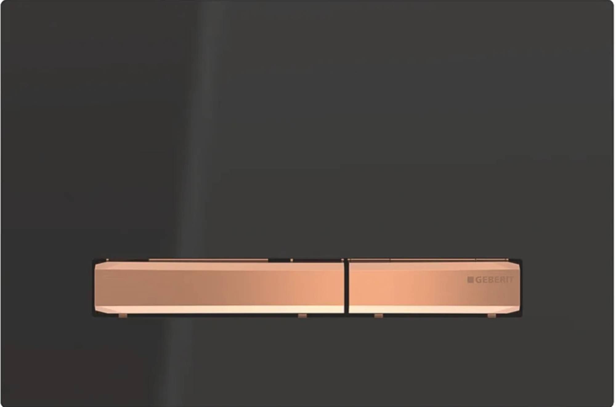 Geberit Sigma50 Bedieningspaneel - RVS - Modern