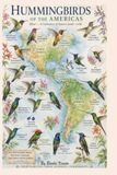Hummingbird's of the Americas: A Celebration of Nature's Jewels