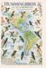 Hummingbird's of the Americas: A Celebration of Nature's Jewels