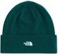 THE NORTH FACE NORM BEANIE Grün
