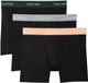Calvin Klein Boxer Brief 3pk Lv00nb4394 3zk Black W/darkest Spruce Wb/black W Heren Maat - XL