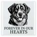 Bellatio Decorations Herdenkings cadeau tegel - hondenliefhebber - Benner Senner hond - zwart/wit - 15 x 15 cm