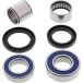 ALL BALLS Racing 25-1473 Wheel Bearing Set