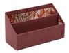 RHODIA 120037C - Brievenhouder - 25 x 10 x 14 cm - 2 Compartimenten - Imitatieleer en Bedrukte Binnenkant - Orange Botanique Collectie