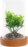 DKD Home Decor Decoratieve plant Kristal PE (2 Stuks) (12 x 12 x 18 cm)