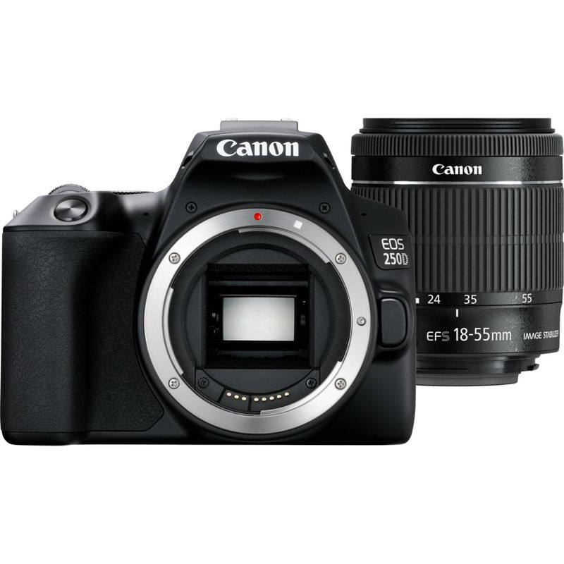 Canon 250D + EF-S 18-55mm f/3.5-5.6 III + SB130