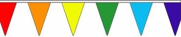 Merkloos / Sans marque Shoppartners Bv Polyester vlaggenlijn regenboog 5 meter