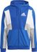 adidas Sportswear Essentials Colorblock Ritshoodie - Heren - Blauw