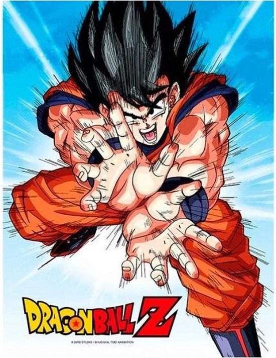 Merkloos Dragon Ball Z: Goku Kame 30 x 40 cm Glass Poster