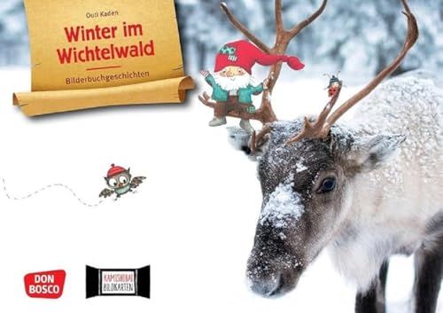 Don Bosco Medien GmbH Winter im Wichtelwald - Kamishibai Bildkartenset für Krippe & Kita