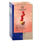 Sonnentor Thé aux fruits bio Myrtille, 18 sachets