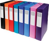 Exacompta 8x Klasseerdoos PP 7/10de Rug 60mm - A4 - Geassorteerd - 5980E