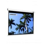 Celexon Professional 300x300cm motorisch projectiescherm