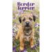 CarouselCalendars Carrousel Worldwide Border Terriers Slim Diary 2027