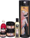 Shunga Carnal Pleasure Collection - Glijmiddel - 580 ml
