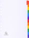 Exacompta 20x Tabbladen karton 160g - geplastificeerde gekleurde tabs + index - 12 tabs - A4 - Wit - 2312E