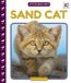Sand Little Wild Cats- Sand Cat Hardcover