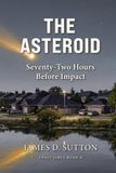 The Asteroid: Seventy-Two Hours Before Impact