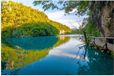 Merkloos / Sans marque Poster - Blauw Meer met Groene Bomen - 90x60 cm - Glanzend