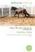 Guizhou Pony Paperback