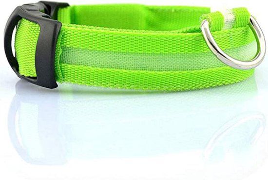Merkloos / Sans marque LED Halsband Hond - Maat L - 45/53 cm - Groen - Inclusief Batterijen