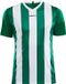 Craft Progress Stripe Shirt Korte Mouw Heren - Groen / Wit | Maat: 3XL