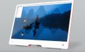 Raspberry Pi 15.6 inch portable monitor - HDMI display