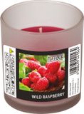 Conpax Candles Geurkaars - Raspberry Geur - Rood - 8 Branduren - In Glas