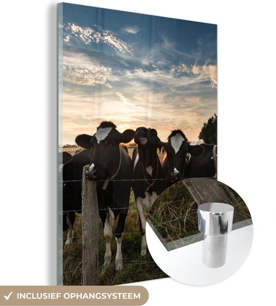 MuchoWow® Glass Painting 30x40 cm - Acrylic Glass Painting - Animals - Cow - Cows - Photo on Glass - Paintings