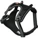 Dogs Creek Pathfinder tuig zwart L