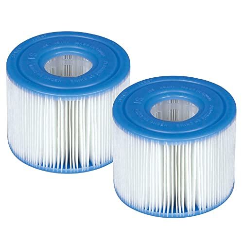 Intex 29001 Filtercartridge Twee Pack, 11cm x 7cm