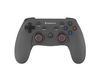 Genesis PV65 Zwart RF Gamepad Analoog/digitaal PC, Playstation 3