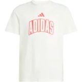 Adidas Kinder-T-shirt Stadium Lettering