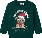 NAME IT NMMVISMAS LS NREG SWEAT BRU Jongens Trui - Maat 92