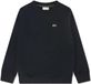 Lacoste Pull Core Junior - Taille 164