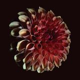 Unfolding Jessica Moss - Unfolding (LP)