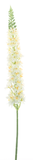 Nova Nature Lupinus spray cream 109cm