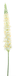 Nova Nature Lupinus spray cream 109cm