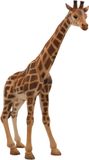 Bullyland 63710 – Speelfiguur Giraf – ca. 20cm – levensecht en detailrijk vormgegeven – ideaal als educatief speelfiguur, decoratie of klein cadeautje voor kinderen vanaf 3 jaar