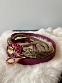 Hondenriem Wine red - 150cm