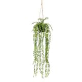 Merkloos / Sans marque Kunstplant Ficus Pumila in Hangpot - 60 cm - groen - hangplat - kunst