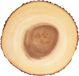 Artesà houten kaasplank van boomstam, serveerschaal voor taarten, desserts, hapjes en buffetten, 35 cm, bruin