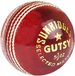 SS Gutsy Leren Cricketbal Rood