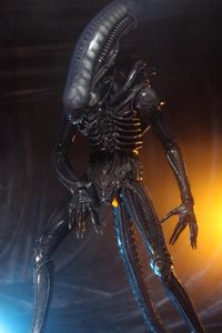 Neca ALIEN 40TH ANNIVERSARY BIG CHAP 1/4 SCALE AF - 0634482515983