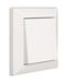 Opus OPUS® 55 Inform afdekframe uitvoering 1-voudig, kleur polaire wit-zijdemat