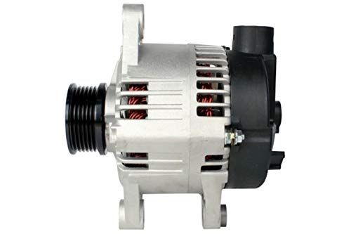 HELLA 8EL 012 426-981 Dynamo / Alternator - 14V - 100A - Fiat Punto (188_)