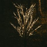 Anna's Collection Arbre LED Bouleau Marron Avec Neige 204 LED Classique Chaud 200 cm