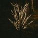 Anna's Collection Arbre LED Bouleau Marron Avec Neige 204 LED Classique Chaud 200 cm