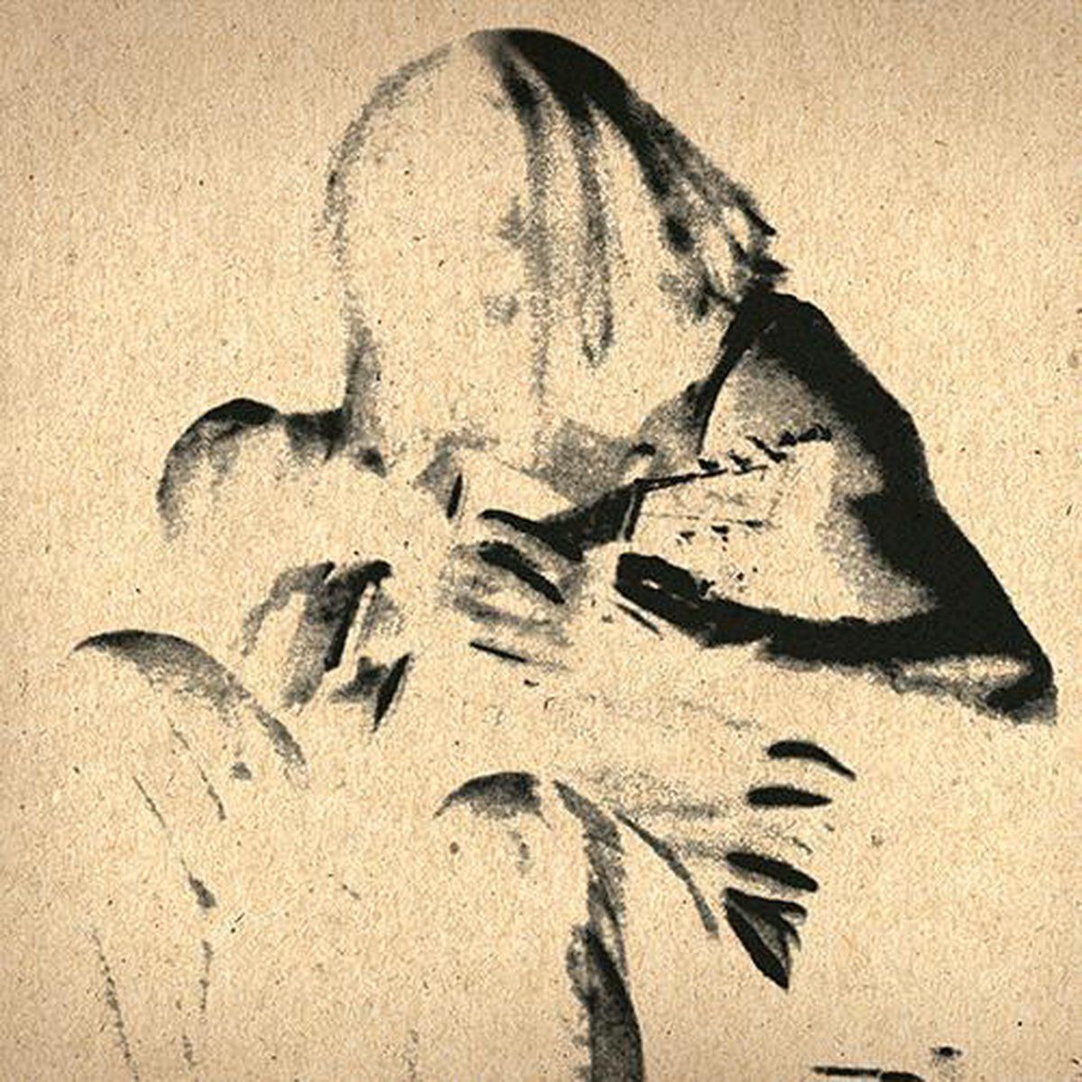 PIAS Nederland Grayson Capps - Songbones